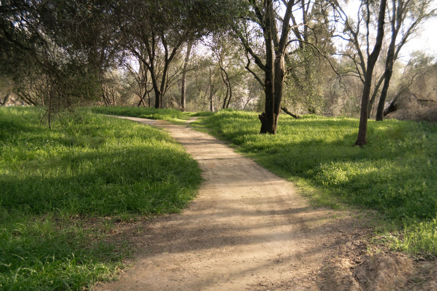 Oaks at Stock Ranch Image 5