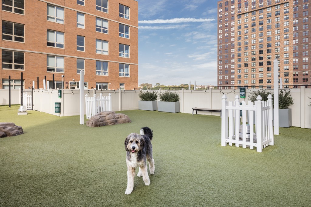 Soho Lofts Image 34