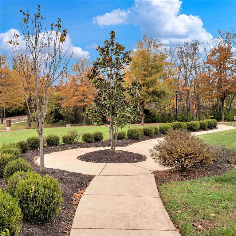 Arbor Crest Senior Apartments Image 3