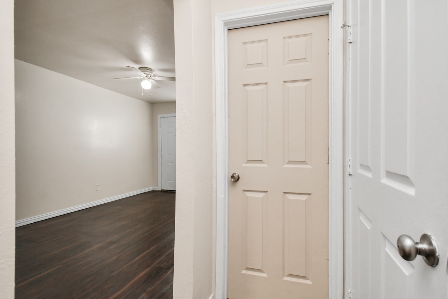 Phlox Duplexes Image 12