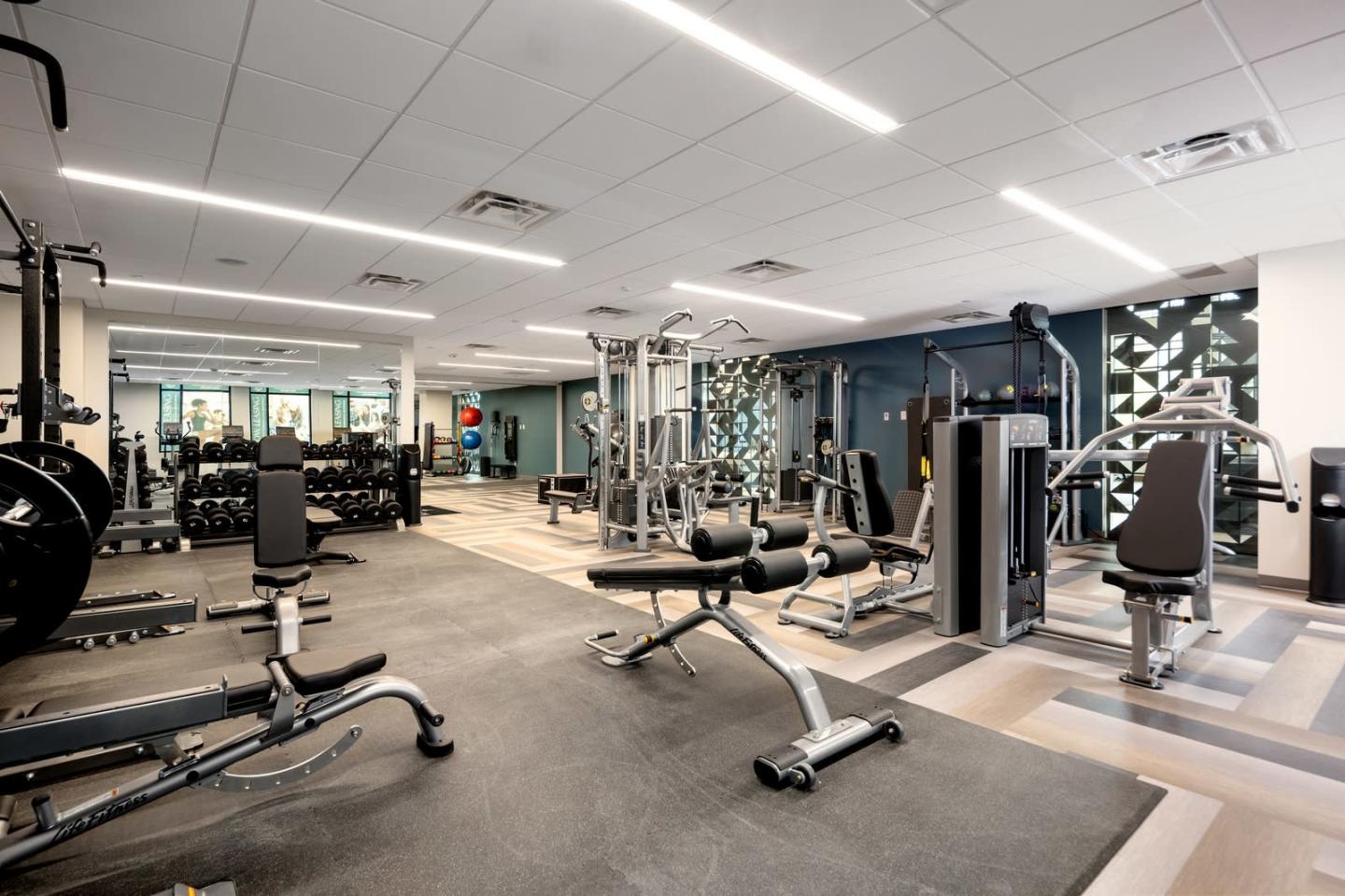 The Emerson Image 20