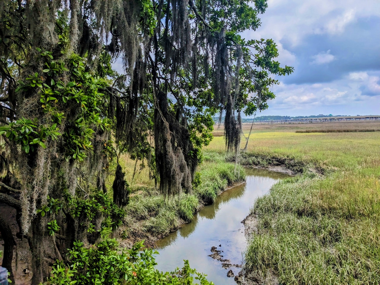 Marsh Cove Image 11