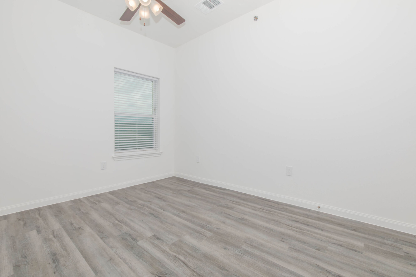 Midtown Brownsville Image 9
