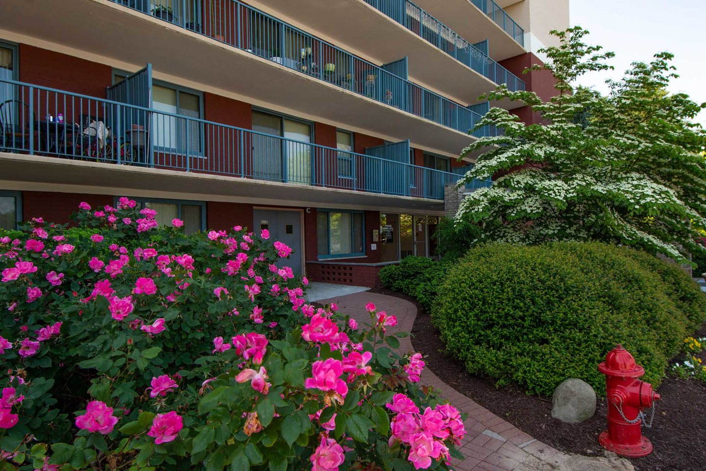 Steward Tower Apartments Image 16