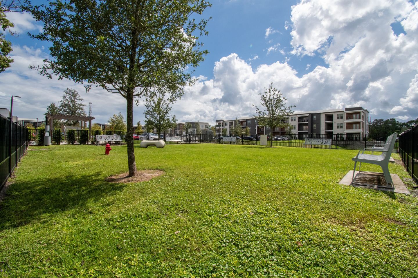 The Ellington at Oviedo Park Image 17