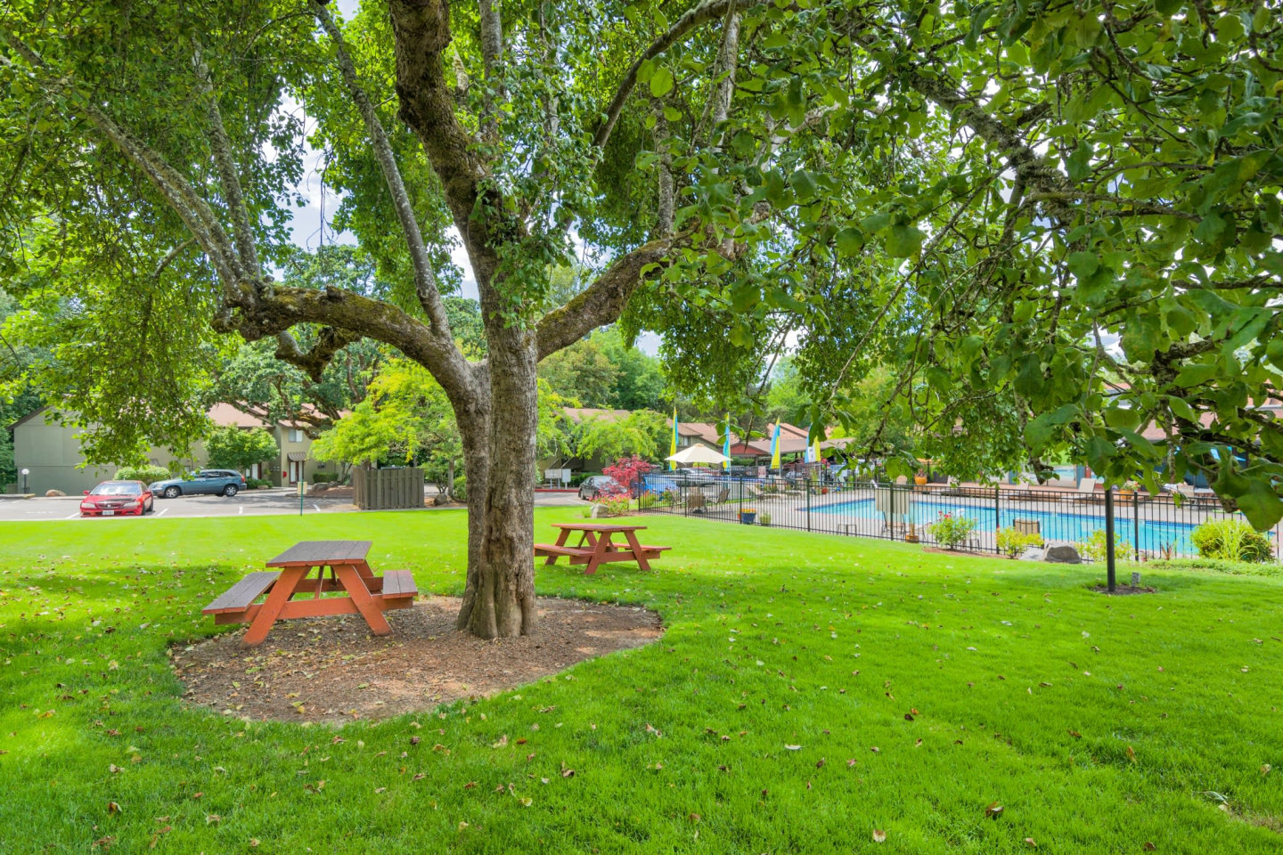 Forest Ridge Image 20