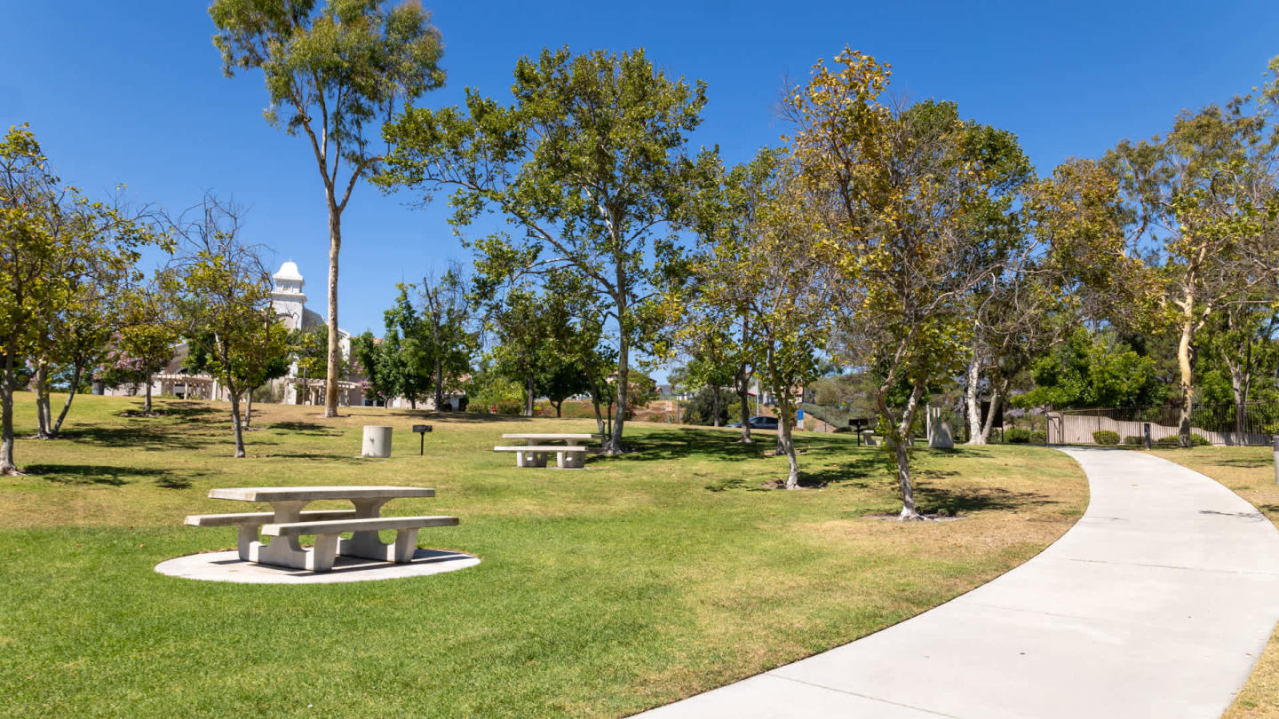 Skyview Image 3
