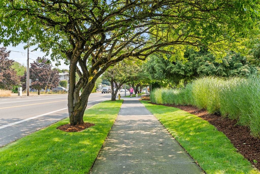 Avalon Park Image 18