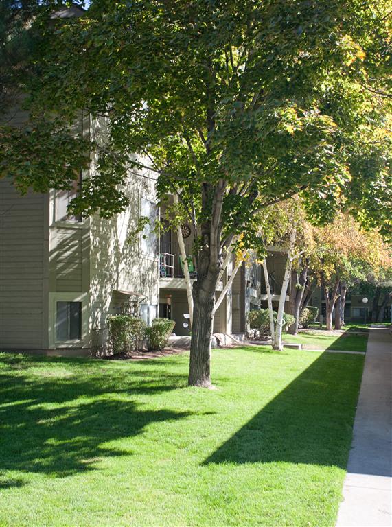 James Pointe Apartments Image 183