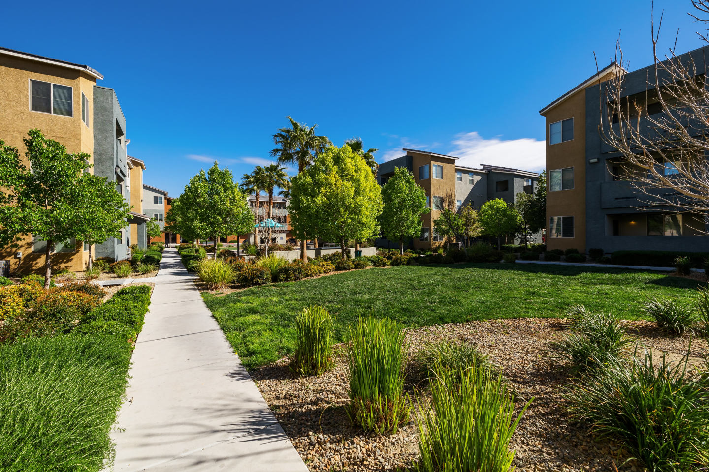 Solana Image 33