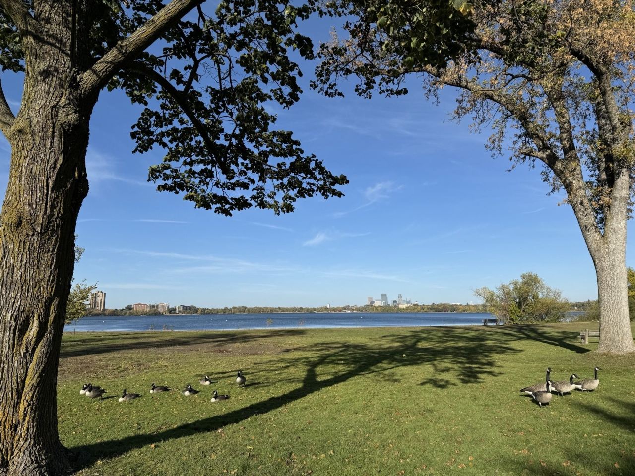 Cove at Linden Hills Image 10