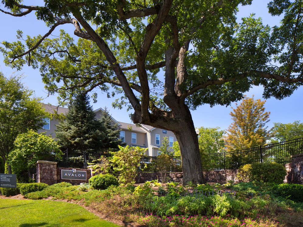 Avalon at Lexington Hills Image 35