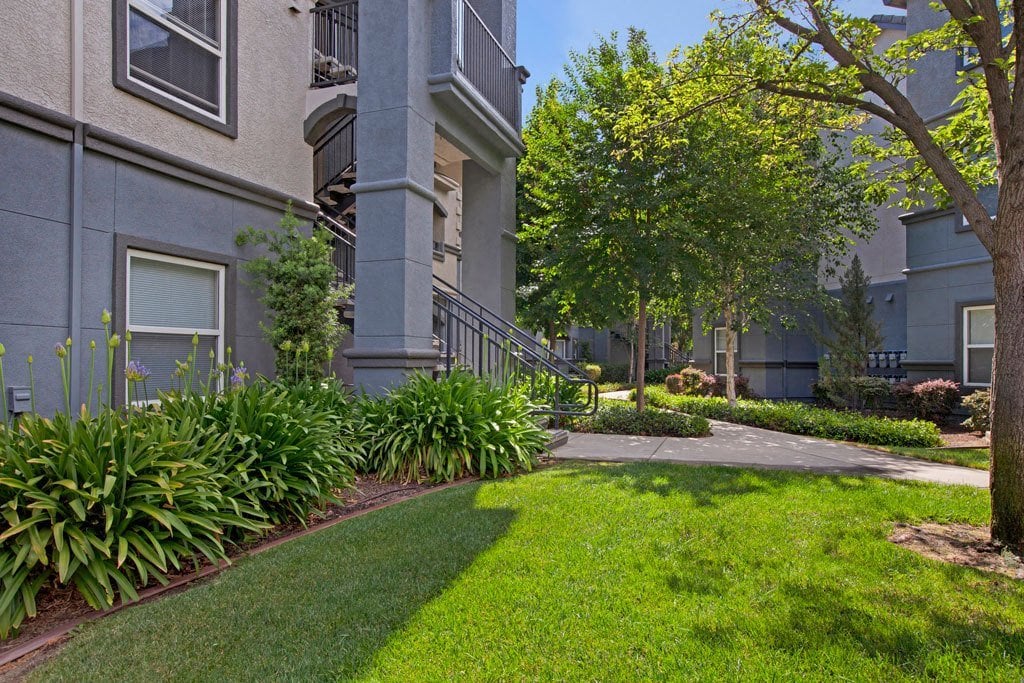 Broadleaf Apartments Image 81