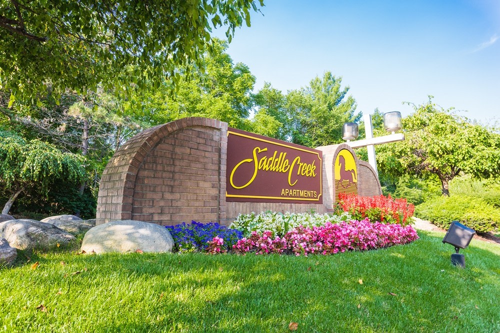 Saddle Creek Image 6