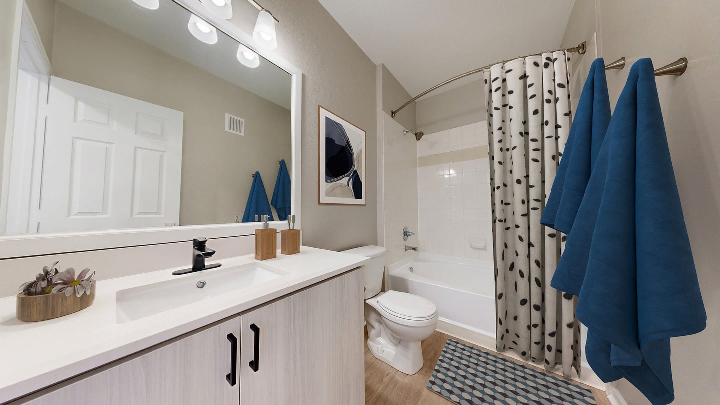 Bristol Village Apartments Image 8