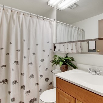 Westgate Group Image 34