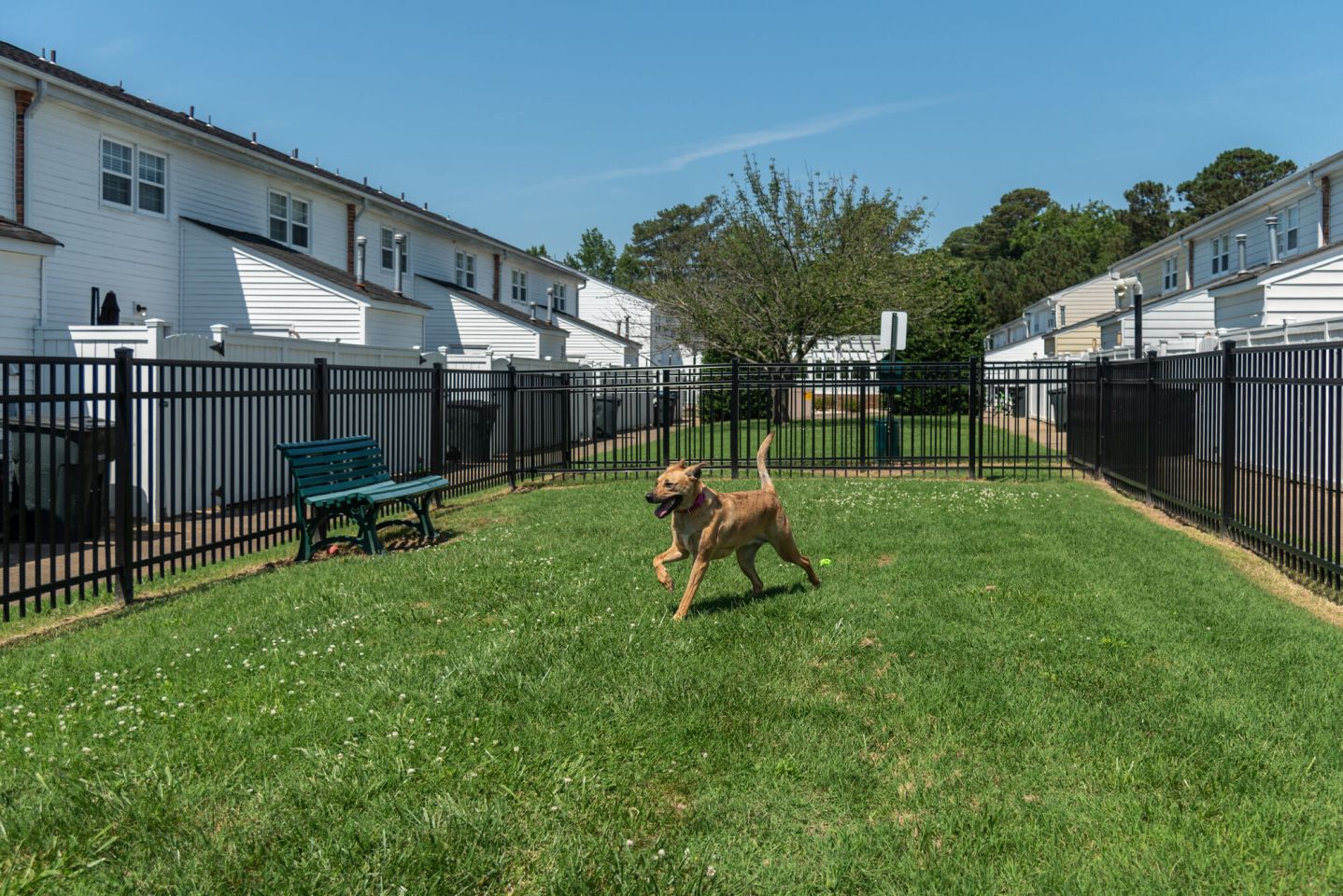 Walkers Chase Townhomes Image 29