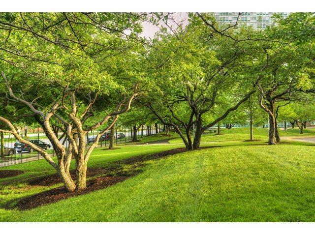 Prairie Shores - Bronzeville Image 36