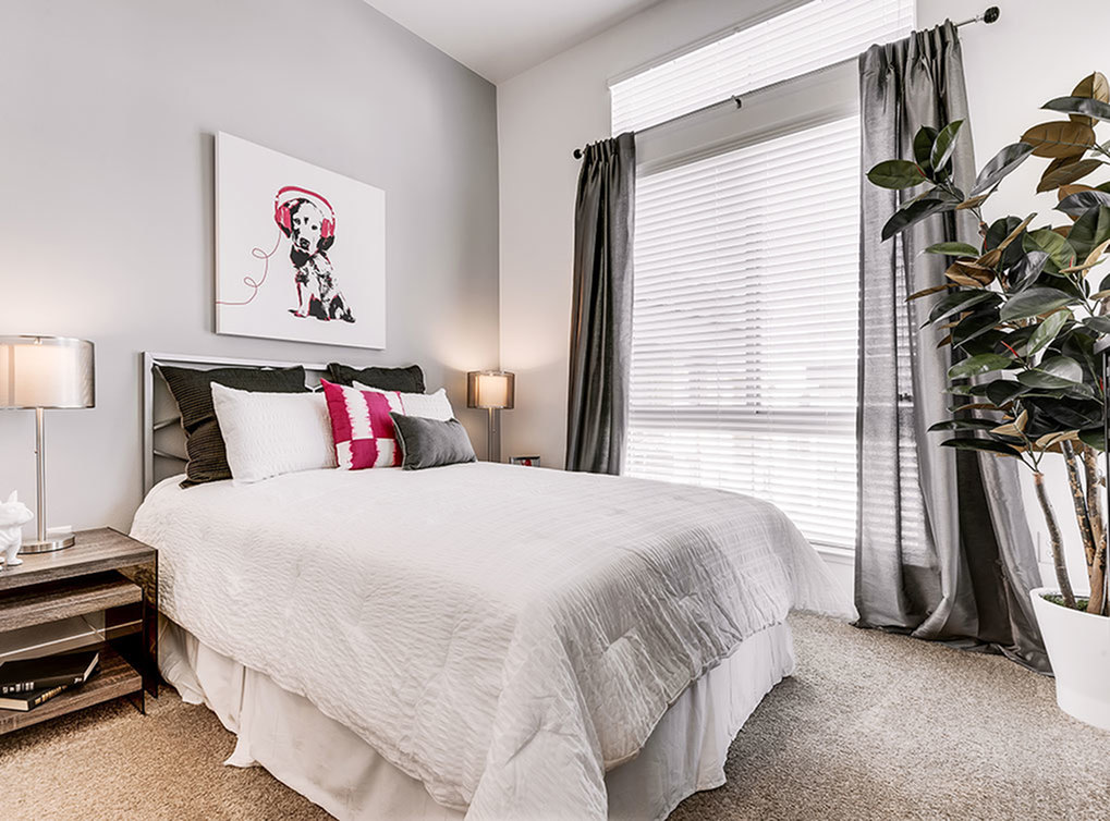 AMLI Cherry Creek Image 22