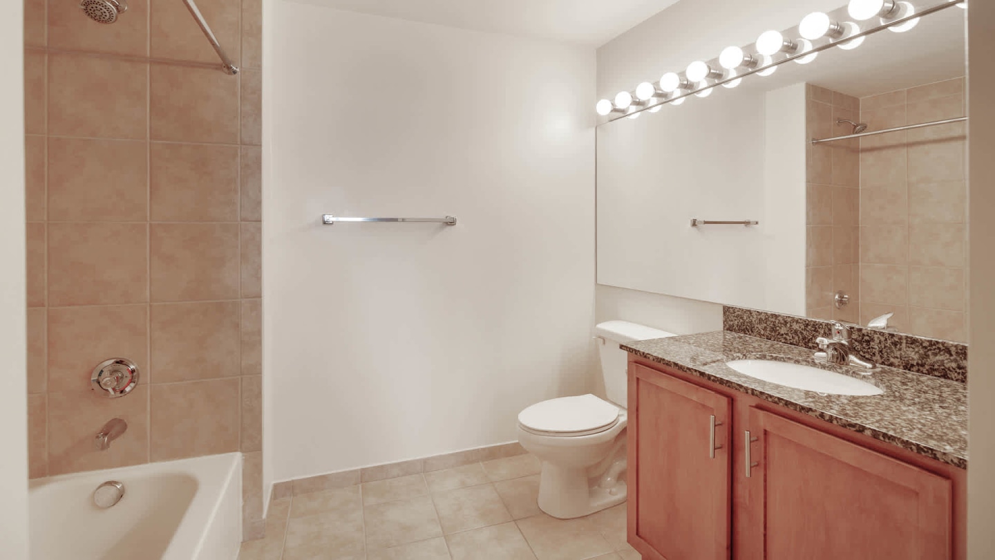 The Veridian Image 50