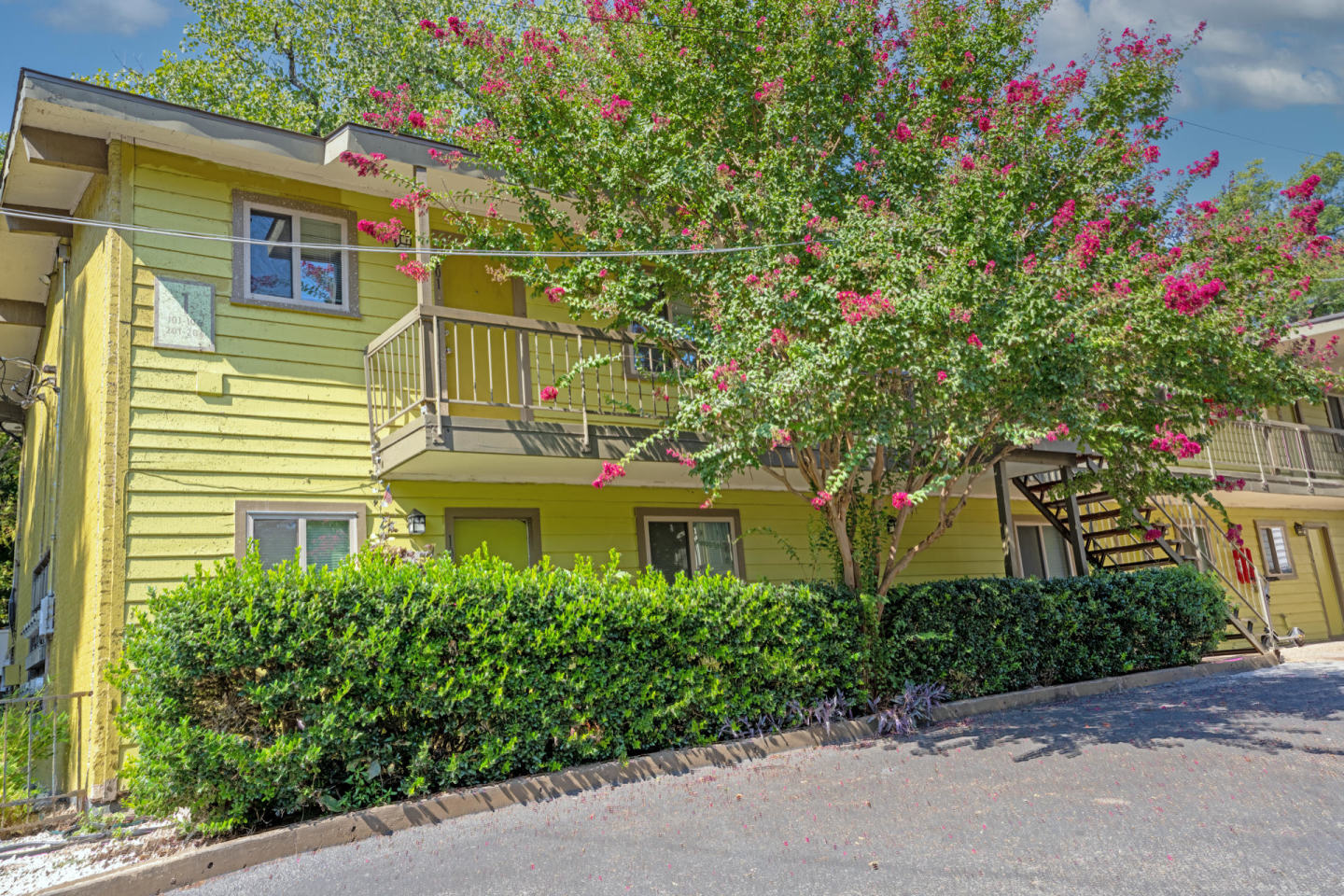 Willows Image 30