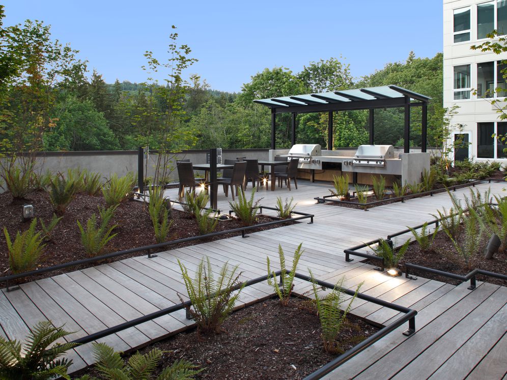 Avalon Newcastle Commons Image 1
