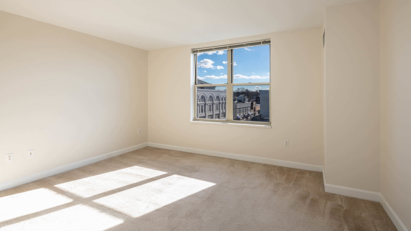 Cronin's Landing Image 35