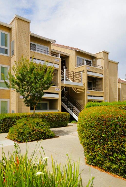 Arcadian Apartments Image 18