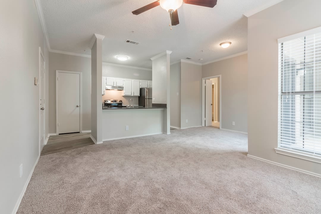 Brighton Apartment Homes Image 12