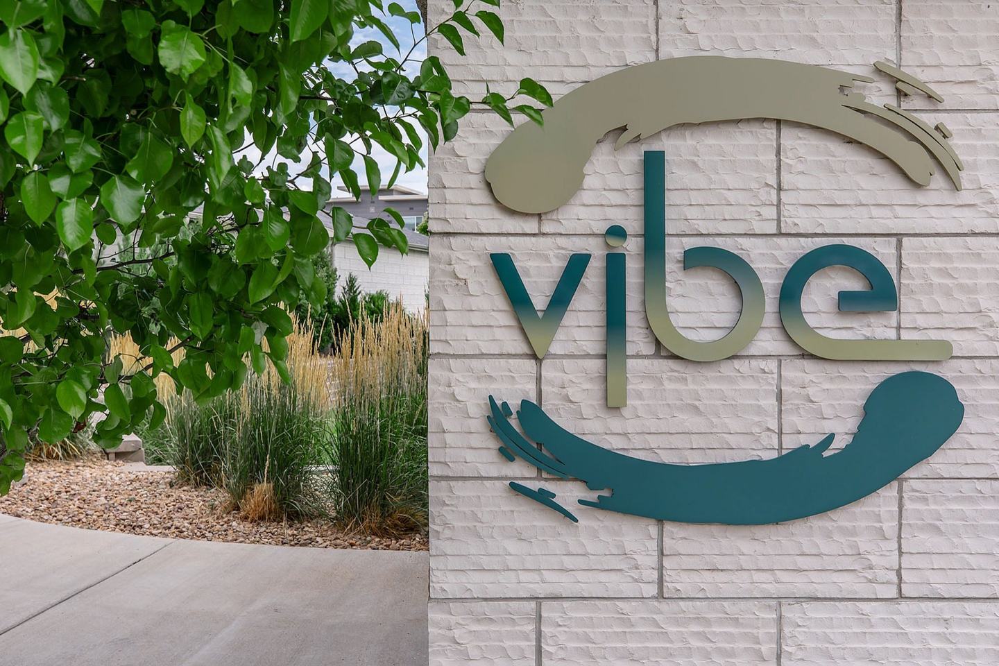 The Vibe Image 15