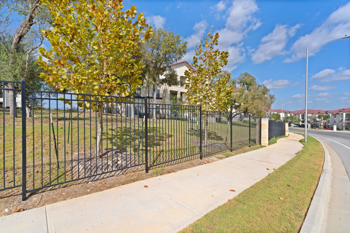 Water Oak Image 62