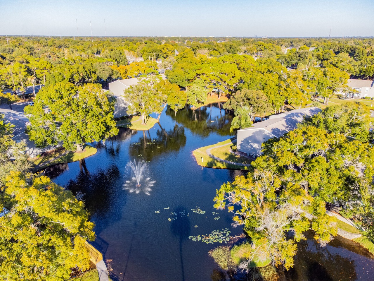 Cooper's Pond Image 28