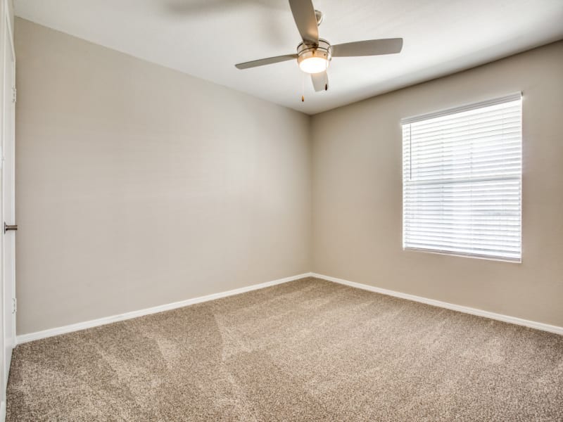 Elevate Apartments Image 6