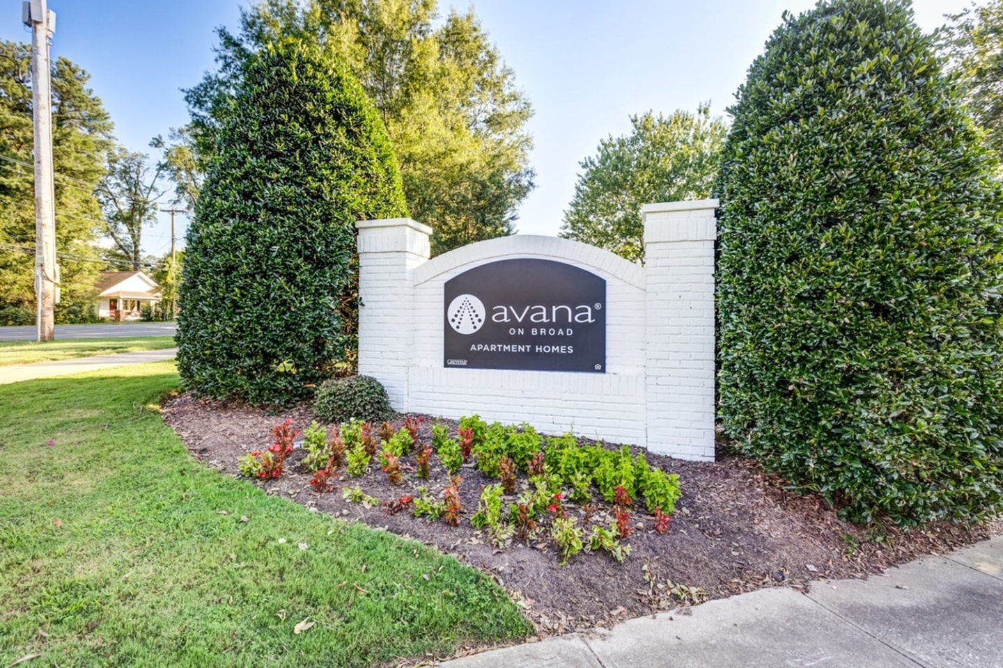 Avana on Broad Image 5