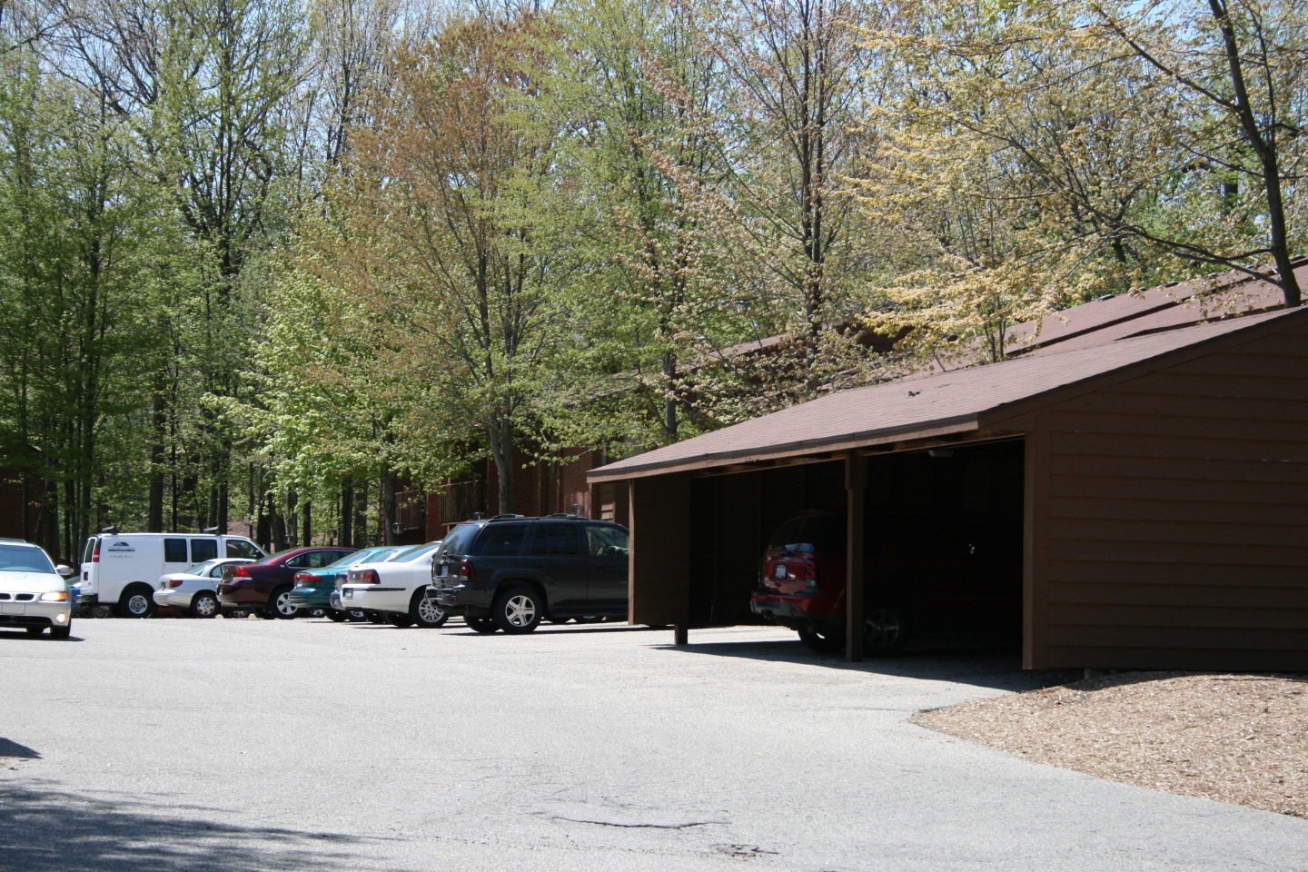 Deer View Image 82