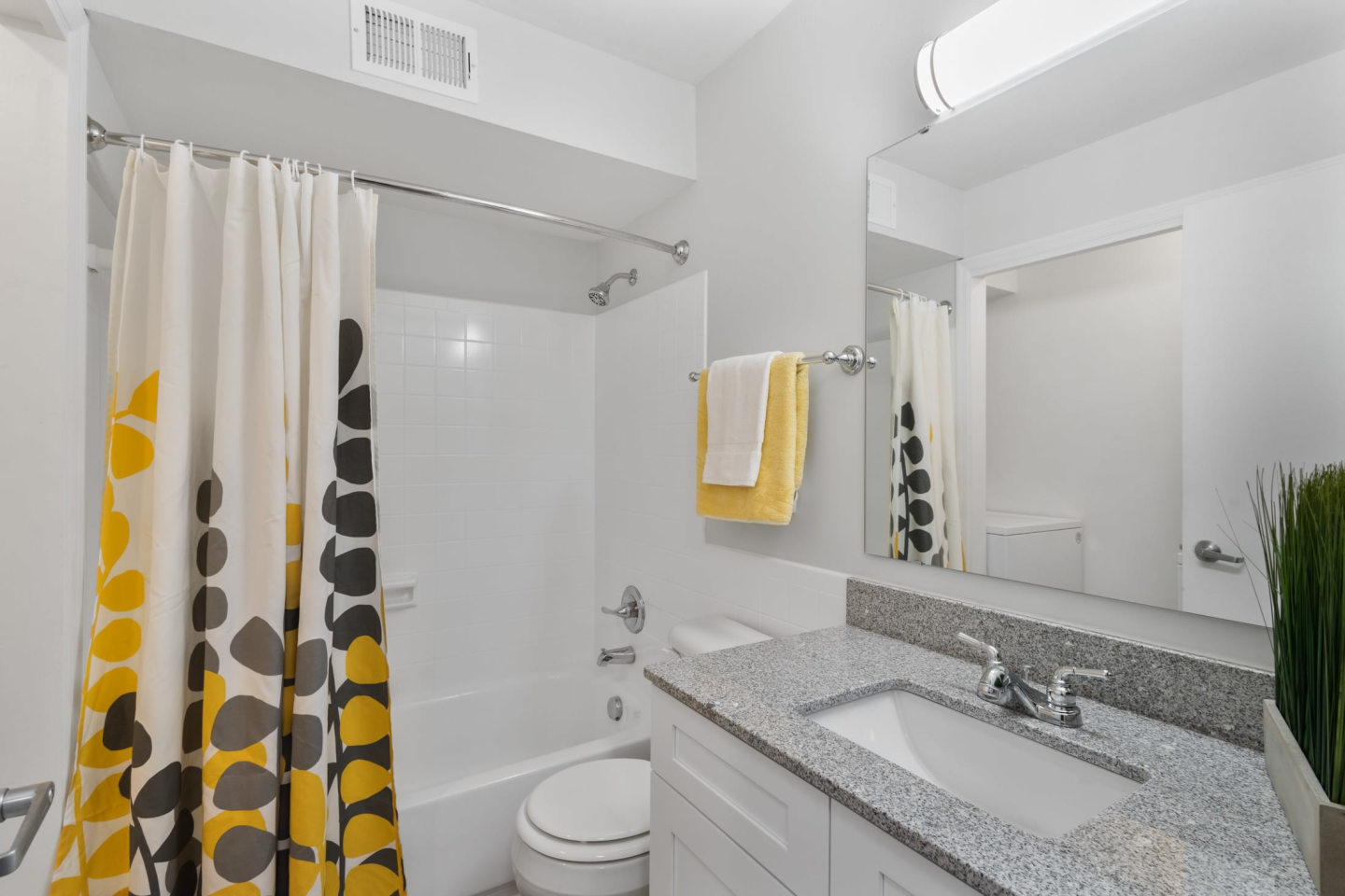 Monon Living Image 13