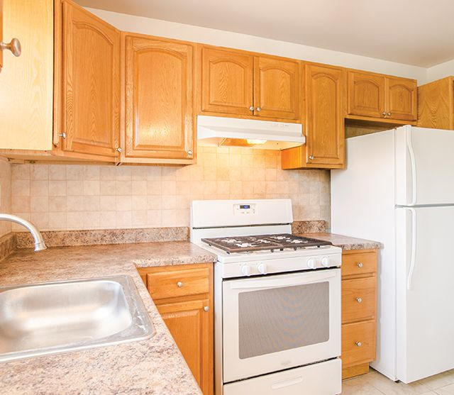 Green Grove Terrace Image 10