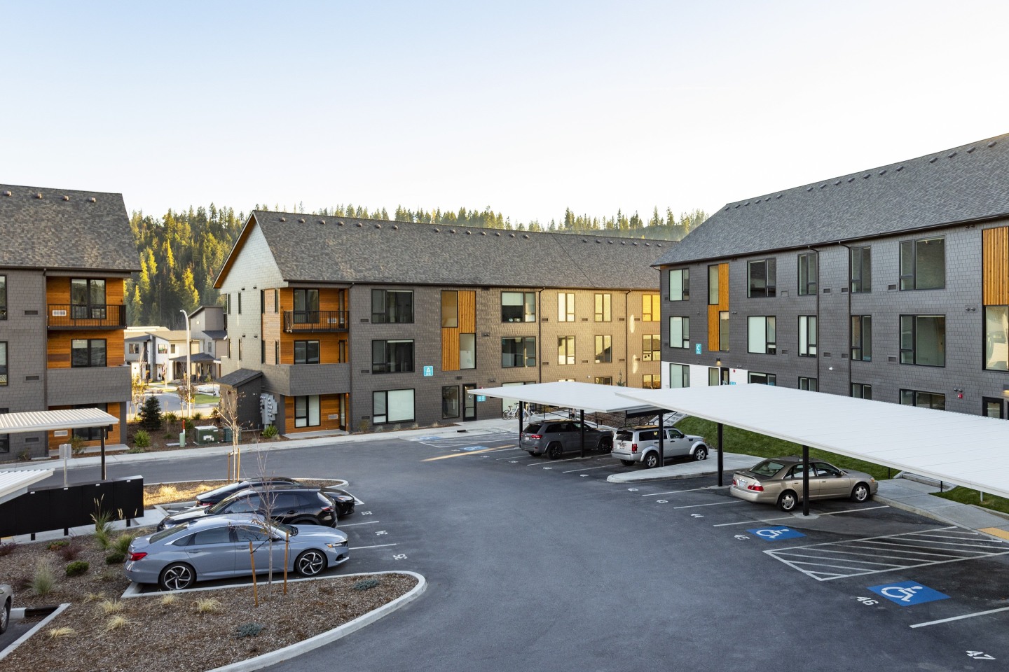 Bo Image 19