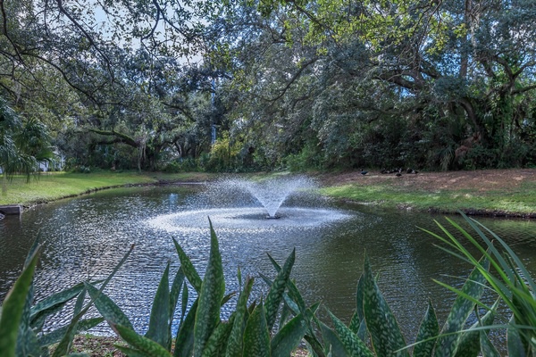 Grand Oaks Image 17