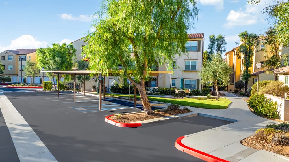 Paseos At Magnolia Luxury Apartment Homes Image 83