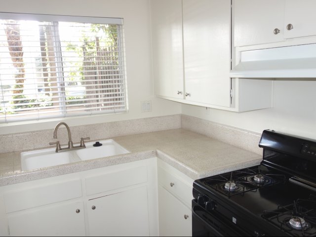 Elan Pacific Palms Image 13