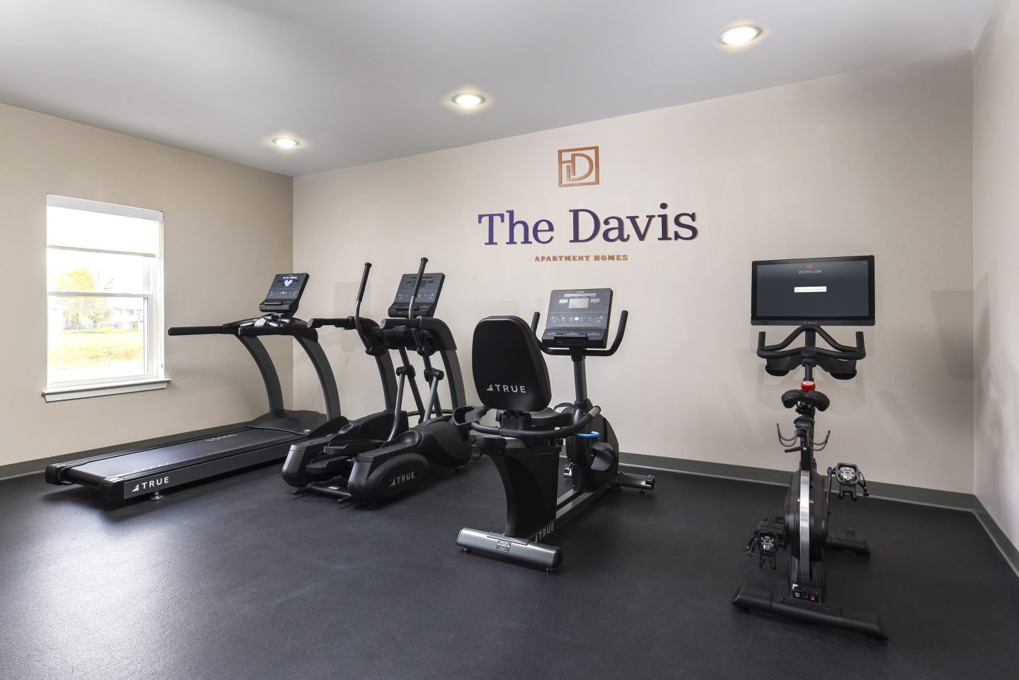 The Davis Image 21