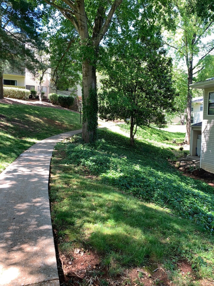 Mountain View Image 21