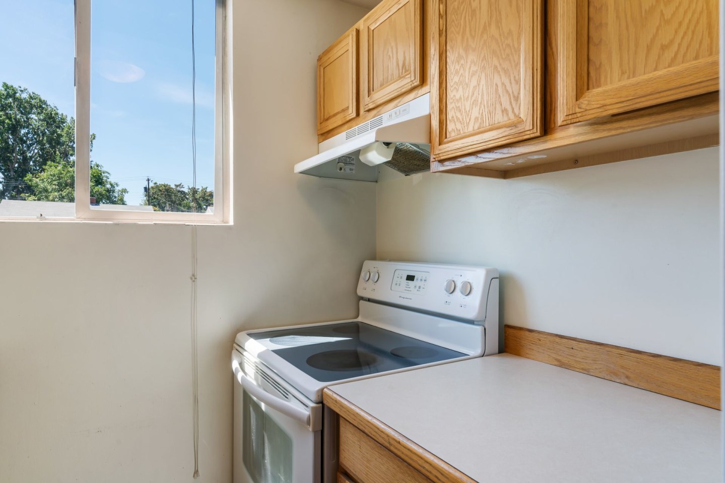 Dolphin Apartments Image 12