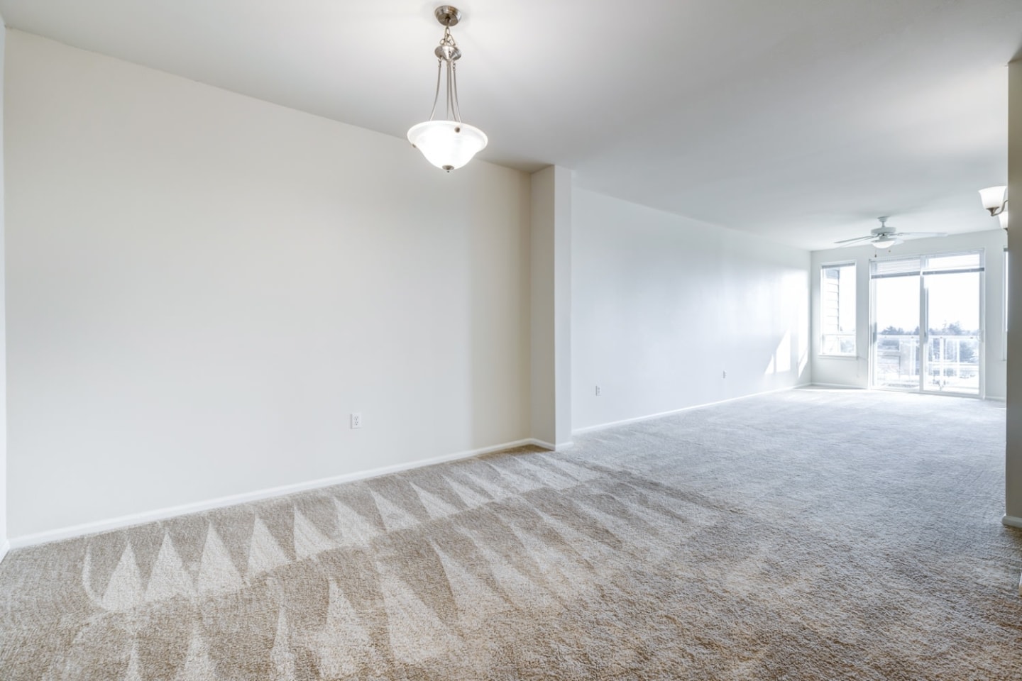 Apex Apartments Image 14