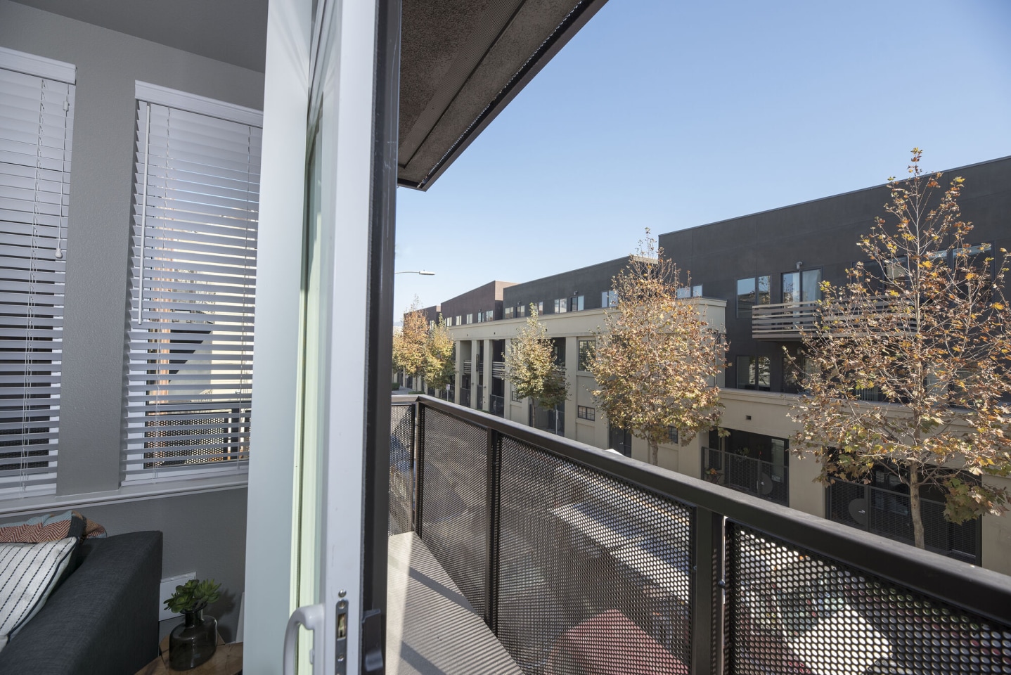 Denizen Apartments Image 9
