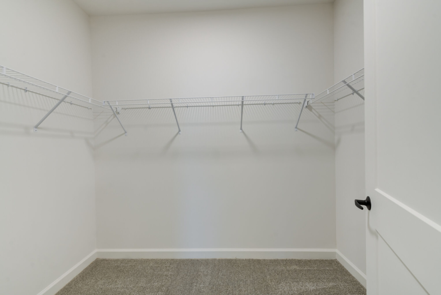 Taryn at 401 Image 17