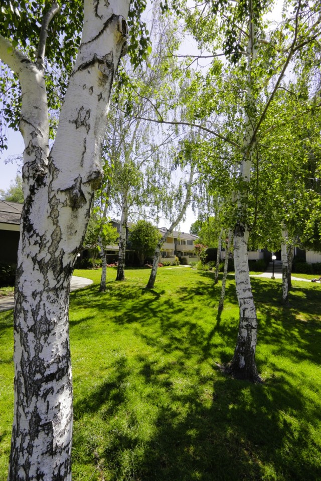 Lakeview Apartments Image 18