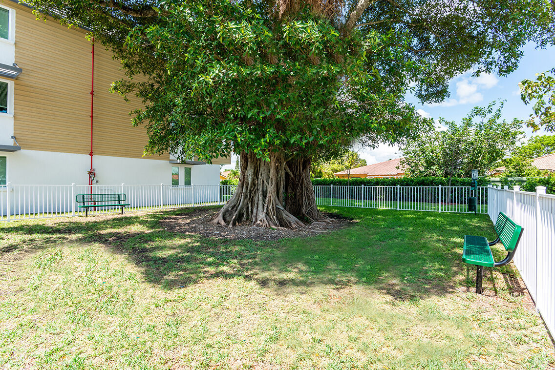 Sophia Square Image 18