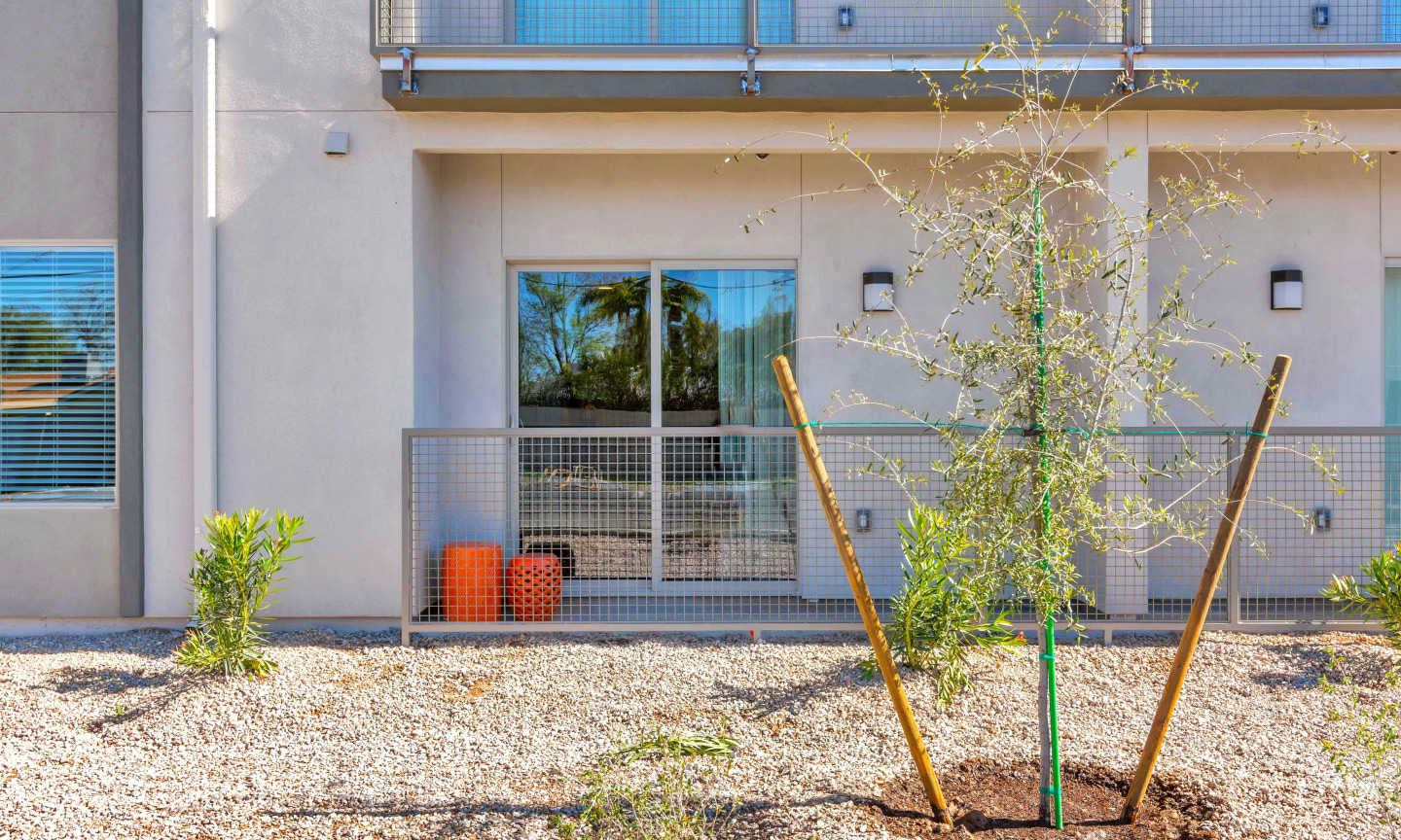 Allora Phoenix Image 15